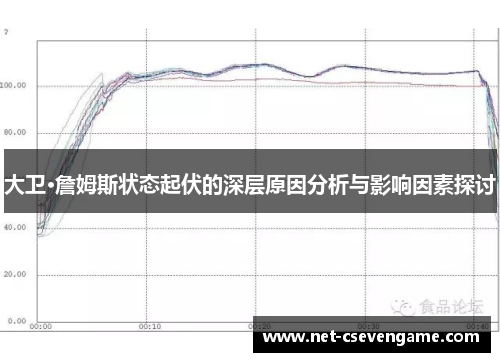 大卫·詹姆斯状态起伏的深层原因分析与影响因素探讨