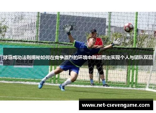 球霸成功法则揭秘如何在竞争激烈的环境中脱颖而出实现个人与团队双赢