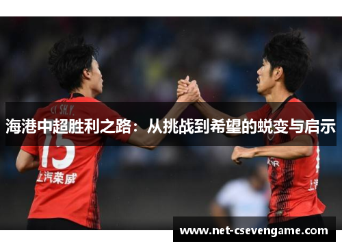海港中超胜利之路：从挑战到希望的蜕变与启示