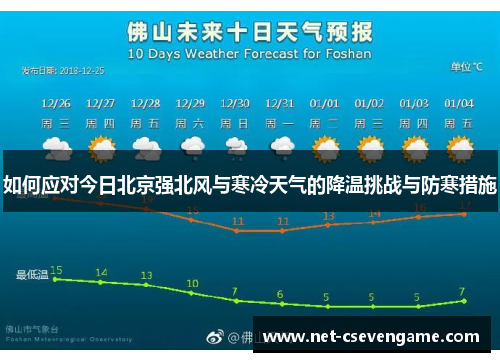 如何应对今日北京强北风与寒冷天气的降温挑战与防寒措施