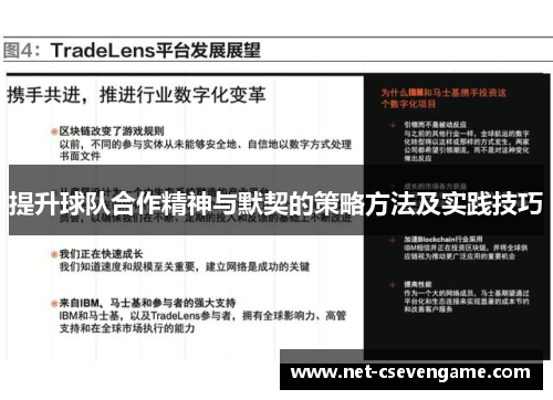 提升球队合作精神与默契的策略方法及实践技巧